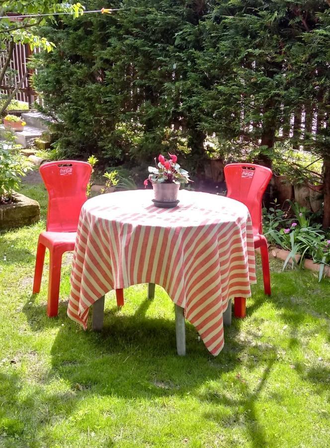 Bed And Breakfast Di Manu Taglio di Po 외부 사진